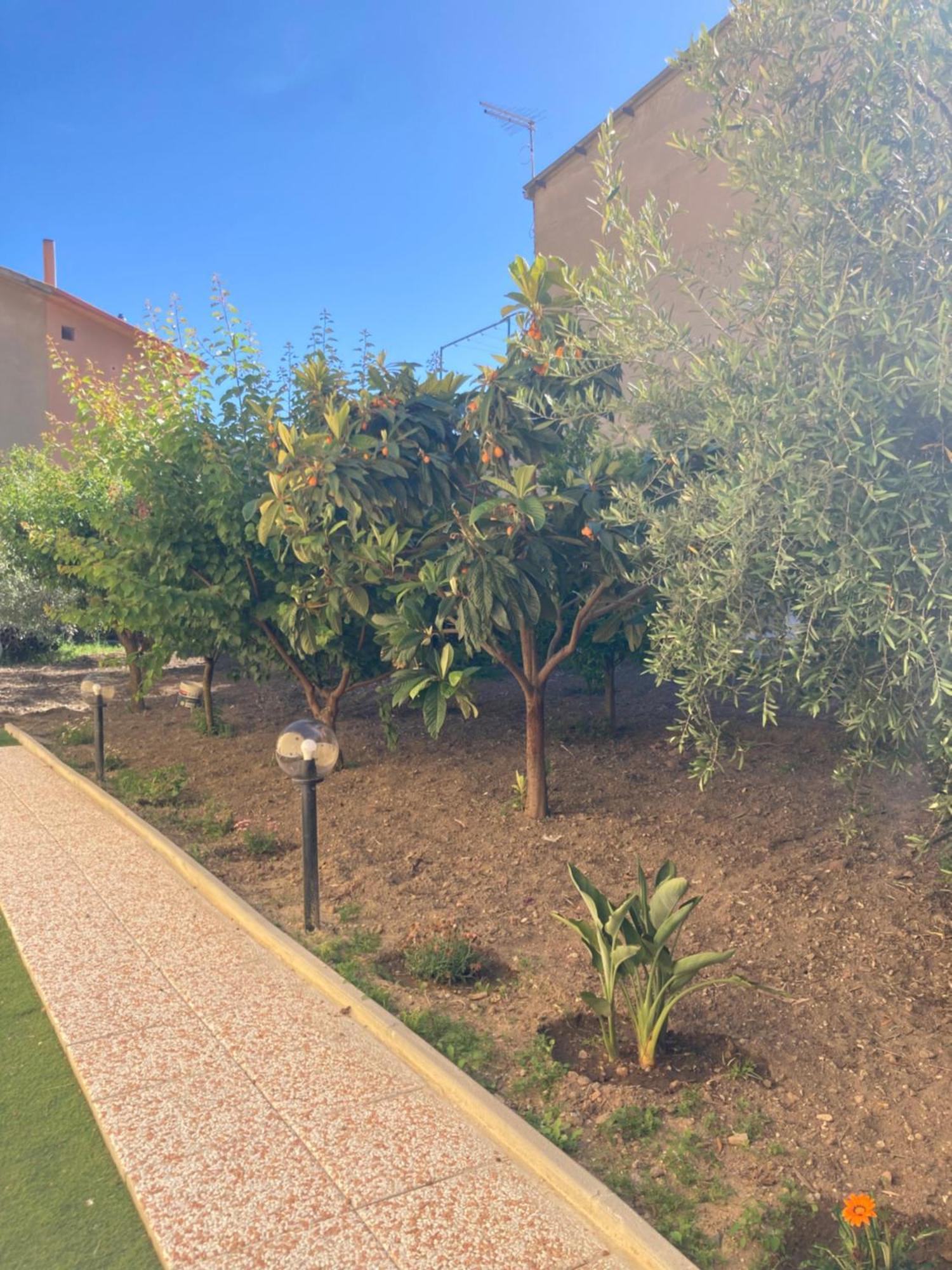 Casa Vacanze Il Giardino Villamassargia Eksteriør billede